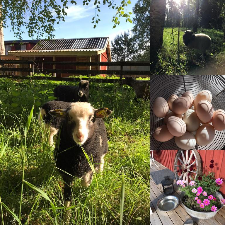 Pensjonat Lillemyrsgarden Forshaga Zewnętrze zdjęcie
